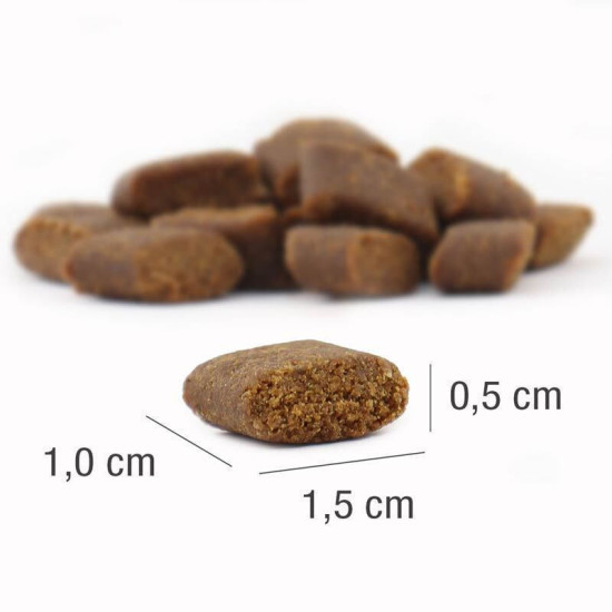 Platinum Mini Adult cu miel, hrana uscata caini mici, 900 g